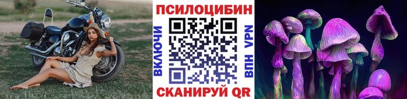 Галлюциногенные грибы GOLDEN TEACHER  Уржум 